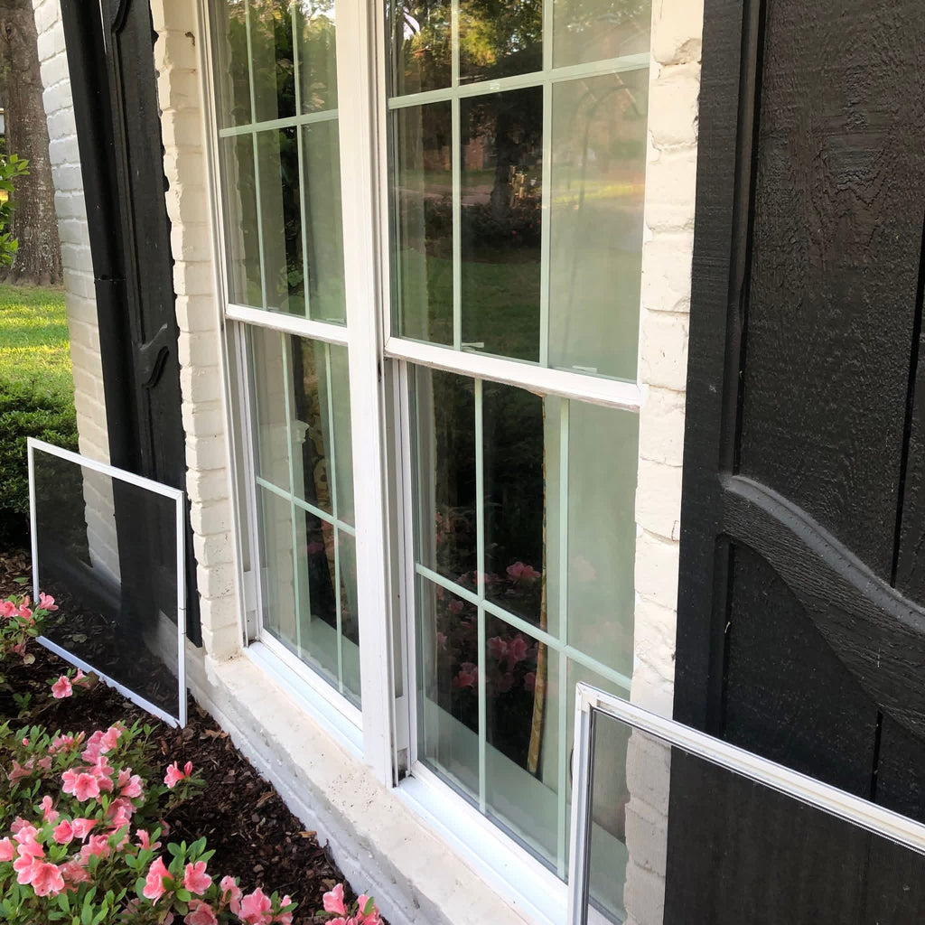 Exterior Window Cleaning