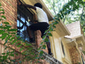 Exterior Window Cleaning
