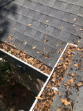 Gutter Cleaning